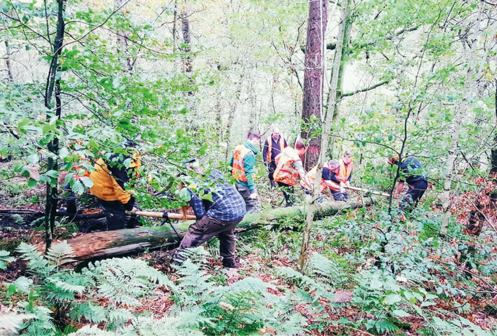 tree-surgery-west-yorkshireExpert Tree Surgery Services in Halifax, Hebden Bridge, Todmorden, Bradford, and Leeds