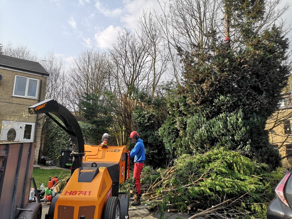 Expert Tree Surgery Services in Halifax, Hebden Bridge, Todmorden, Bradford, and Leeds