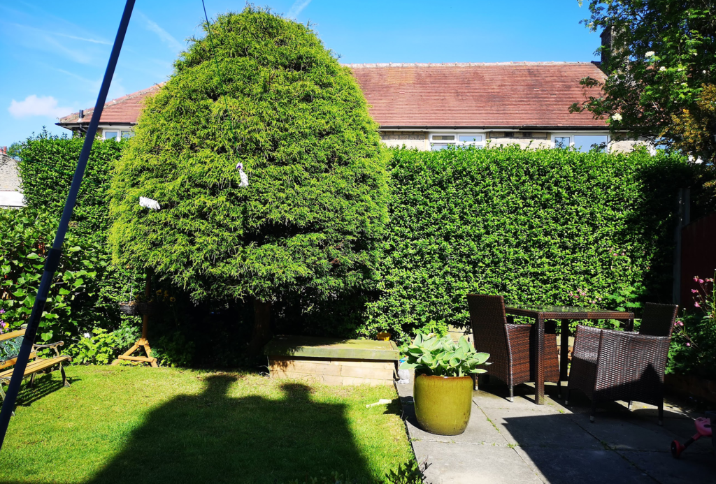 Expert Tree Surgery Services in Halifax, Hebden Bridge, Todmorden, Bradford, and Leeds