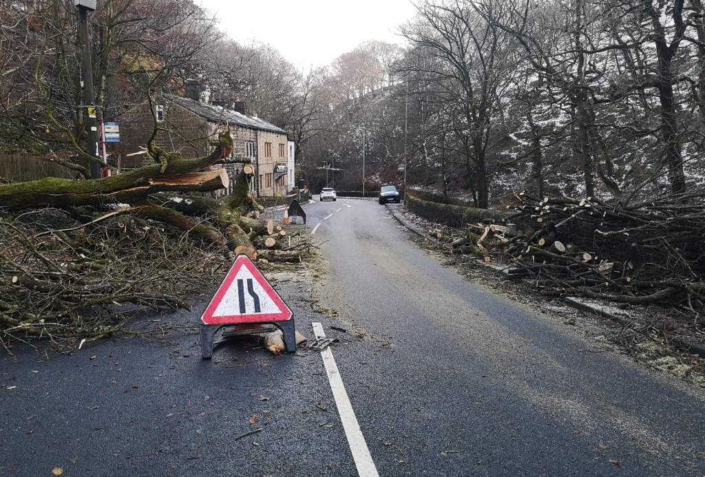 tree-surgery-west-yorkshireExpert Tree Surgery Services in Halifax, Hebden Bridge, Todmorden, Bradford, and Leeds