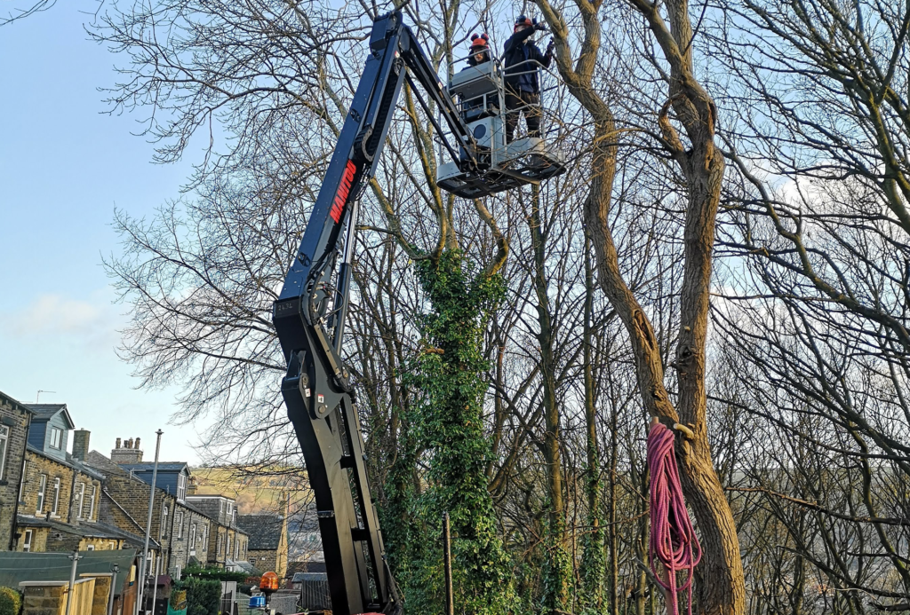 tree-surgery-west-yorkshireExpert Tree Surgery Services in Halifax, Hebden Bridge, Todmorden, Bradford, and Leeds