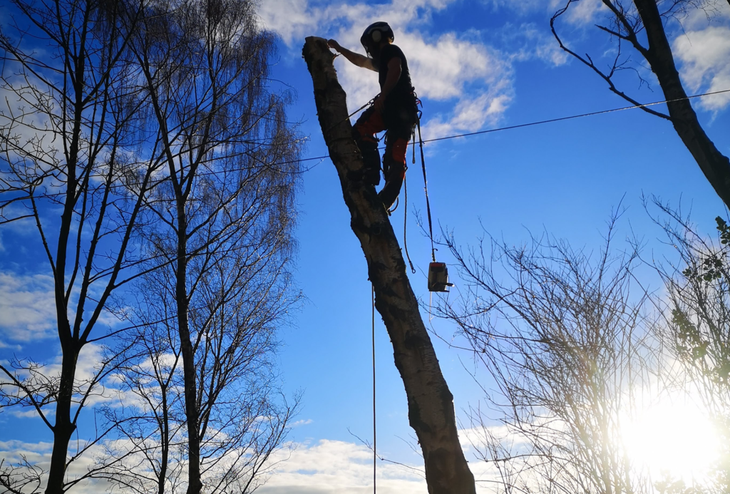 tree-surgery-west-yorkshireExpert Tree Surgery Services in Halifax, Hebden Bridge, Todmorden, Bradford, and Leeds